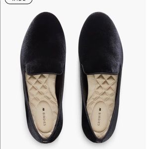 Birdies Starling in Black Velvet